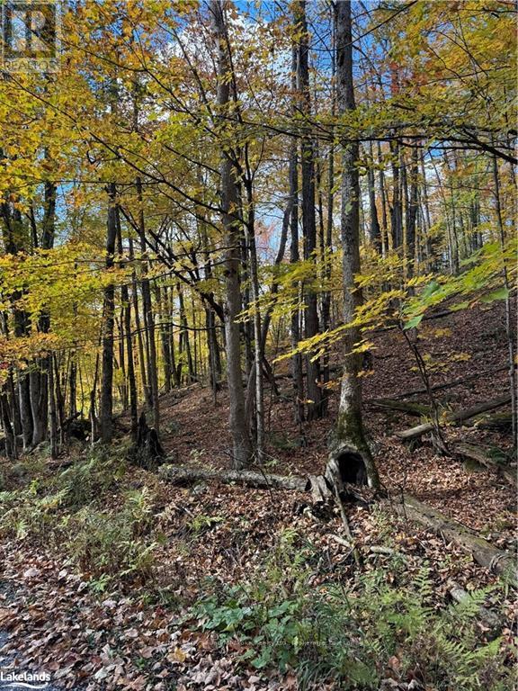 Photo 1 of 353 C Balsam Creek Road, Parry Sound Remote Area ON