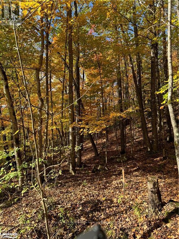 Photo 5 of 353 C Balsam Creek Road, Parry Sound Remote Area ON