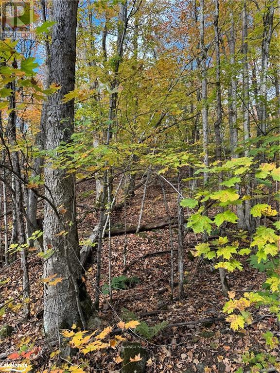 Photo 4 of 353 C Balsam Creek Road, Parry Sound Remote Area ON