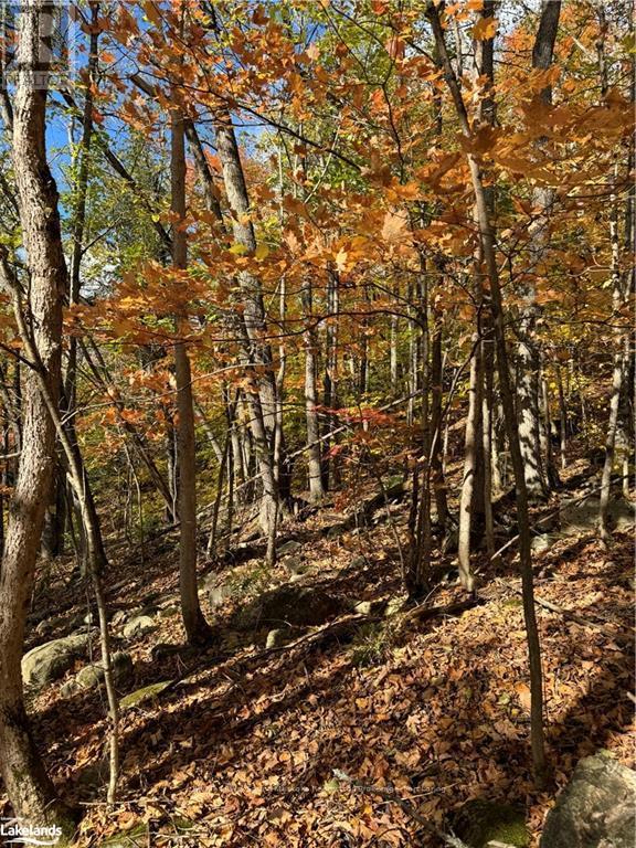 Photo 8 of 353 C Balsam Creek Road, Parry Sound Remote Area ON