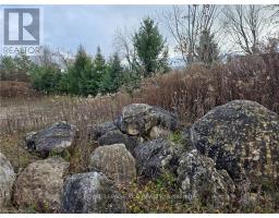 Ptlt8es Salter Street, Chatsworth, ON N0H2V0 Photo 10