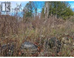 Ptlt8es Salter Street, Chatsworth, ON N0H2V0 Photo 11