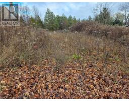 Ptlt8es Salter Street, Chatsworth, ON N0H2V0 Photo 12