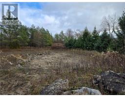 Ptlt8es Salter Street, Chatsworth, ON N0H2V0 Photo 6