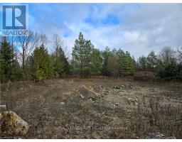 Ptlt8es Salter Street, Chatsworth, ON N0H2V0 Photo 8