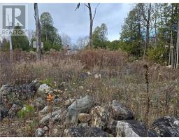 Ptlt8es Salter Street, Chatsworth, ON N0H2V0 Photo 9