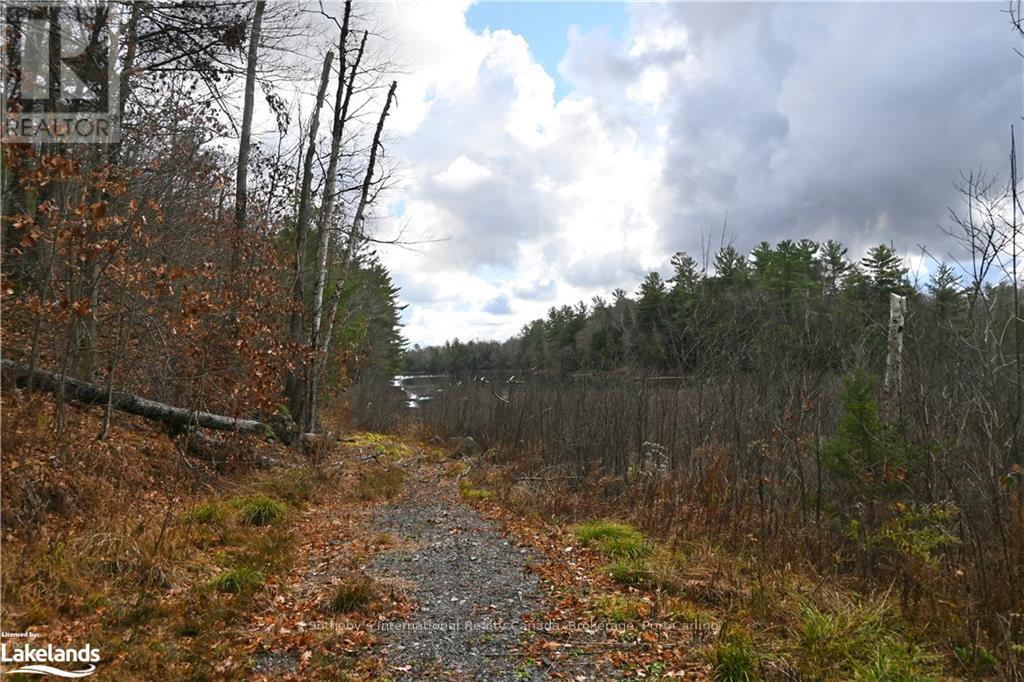 Photo 10 of 25 Lake Ridge Road, Mcdougall ON
