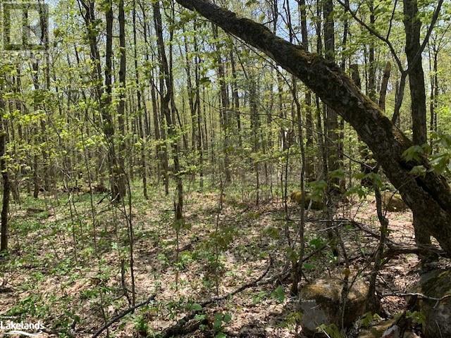 Photo 1 of 2376 South Horn Lake Road, Ryerson ON