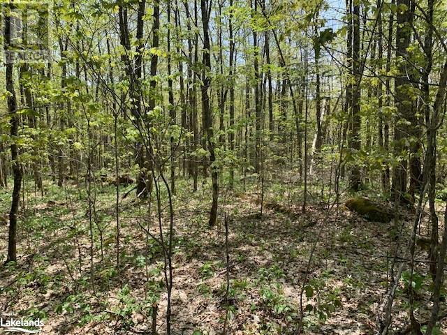 Photo 4 of 2376 South Horn Lake Road, Ryerson ON