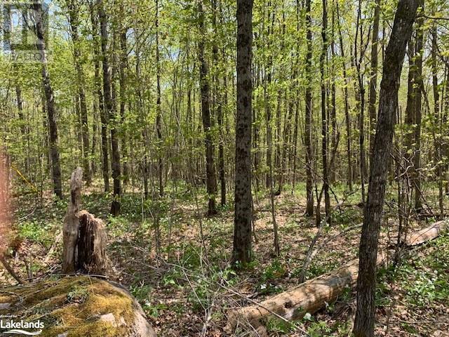 Photo 5 of 2376 South Horn Lake Road, Ryerson ON