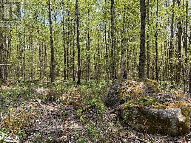 Photo 7 of 2376 South Horn Lake Road, Ryerson ON