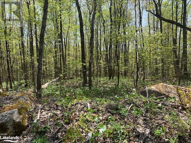 Photo 8 of 2376 South Horn Lake Road, Ryerson ON