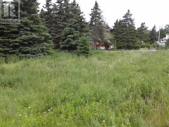 Photo 1 of 658 668 Harvey Street, Harbour Grace NL