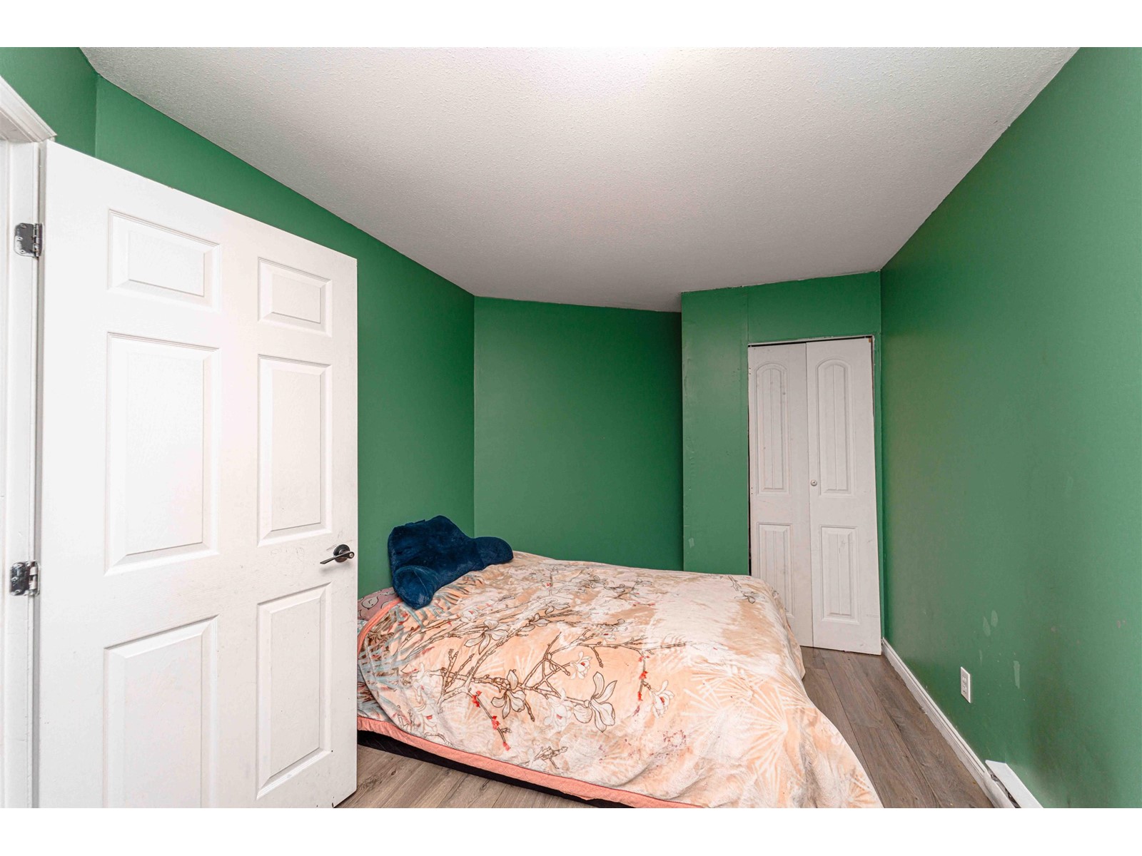 37 31255 UPPER MACLURE ROAD, Abbotsford real estate listing R2948787