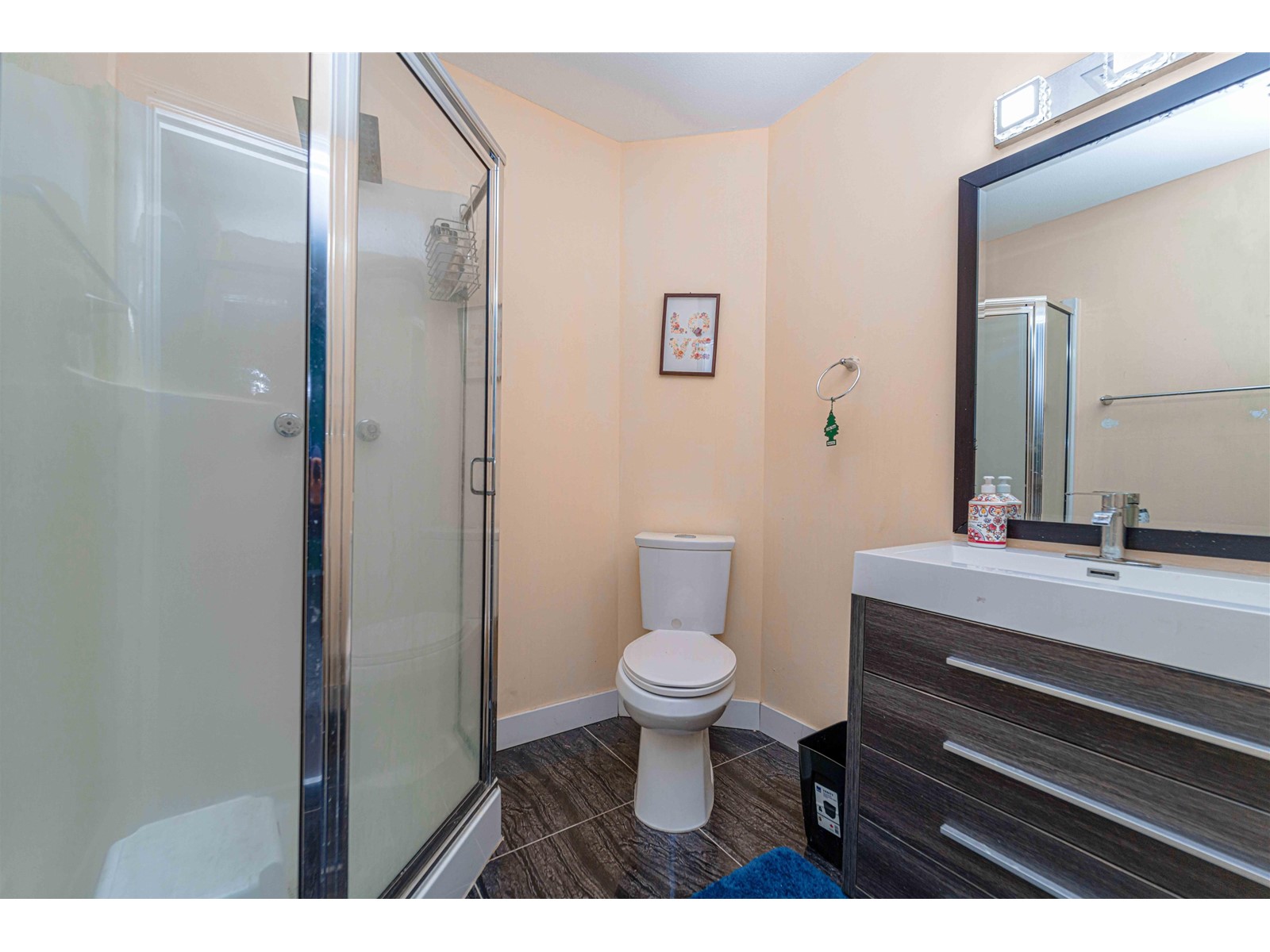 37 31255 UPPER MACLURE ROAD, Abbotsford real estate listing R2948787