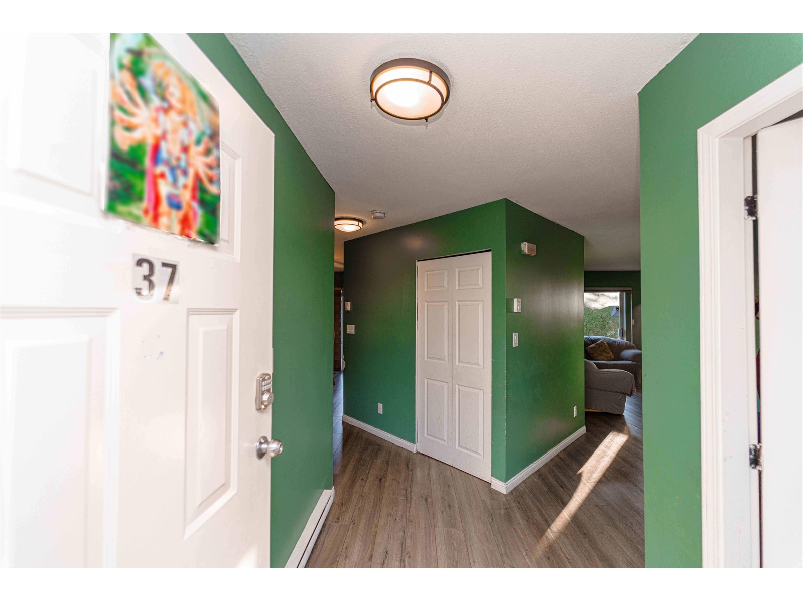 37 31255 UPPER MACLURE ROAD, Abbotsford real estate listing R2948787