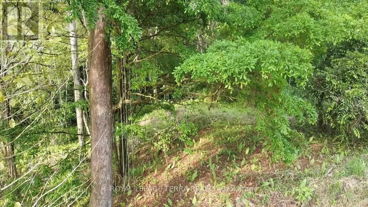 Lot8-65 Cinco Ventanas Road E, Costa Rica