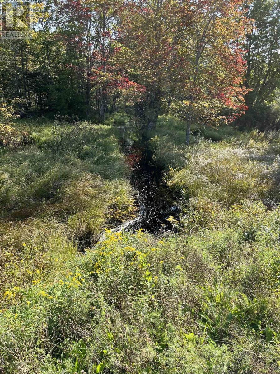 Vacant Land for Sale in LOT Highway  Dalhousie 