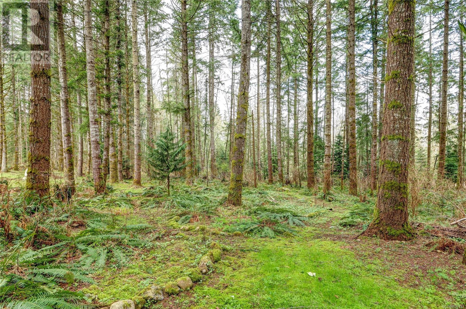 A & B 2826 Bruce Rd, Black Creek