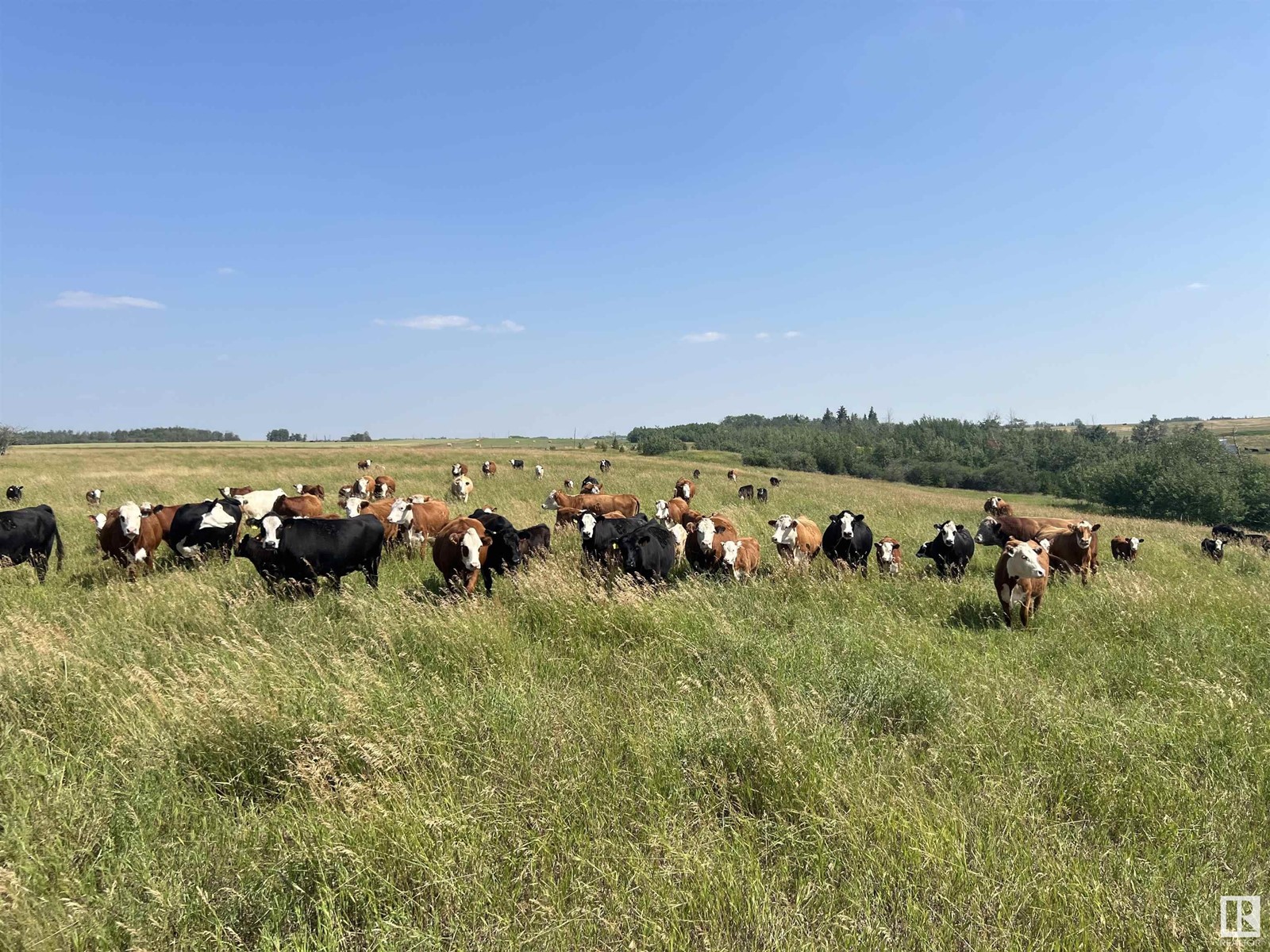 55107 RGE RD 271, Rural Sturgeon County