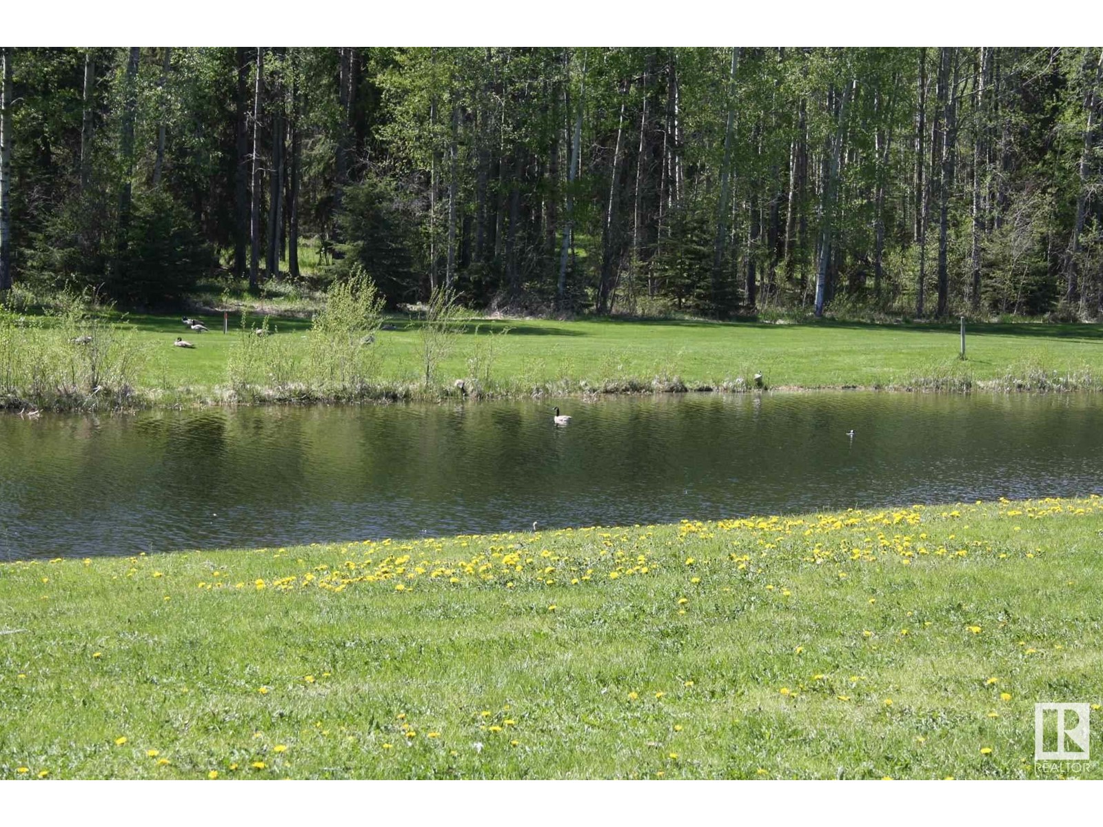 Photo 5 of 73 Silversprings, Rural Wetaskiwin County AB