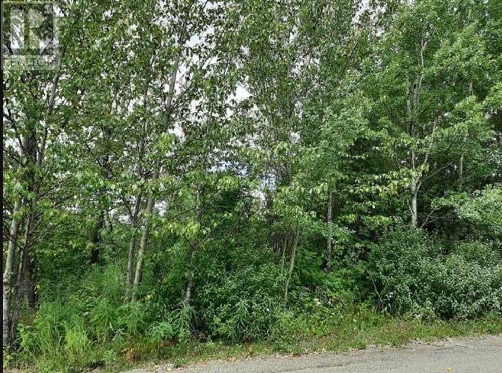 Photo 1 of 821 Murray Road, Fort St James BC
