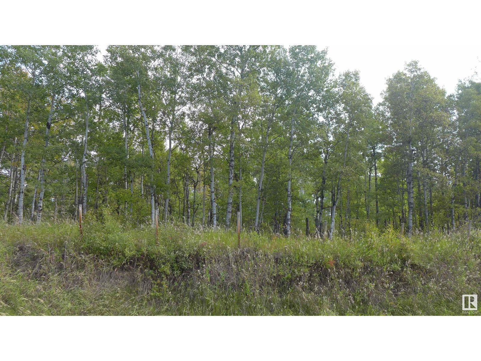 51103 RGE ROAD 223, Rural Strathcona County