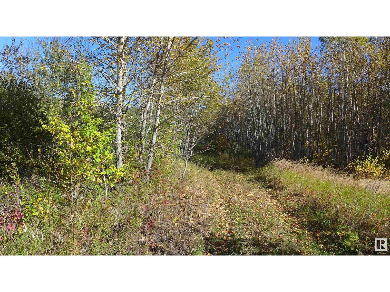 51103 RGE ROAD 223, Rural Strathcona County