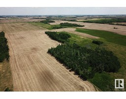 49279 Rr250, Rural Leduc County, AB T4X2T6 Photo 13