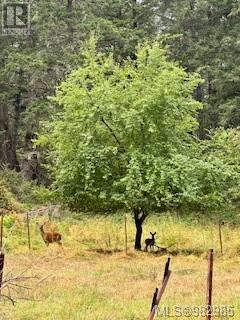 808 Rainbow Rd, Salt Spring