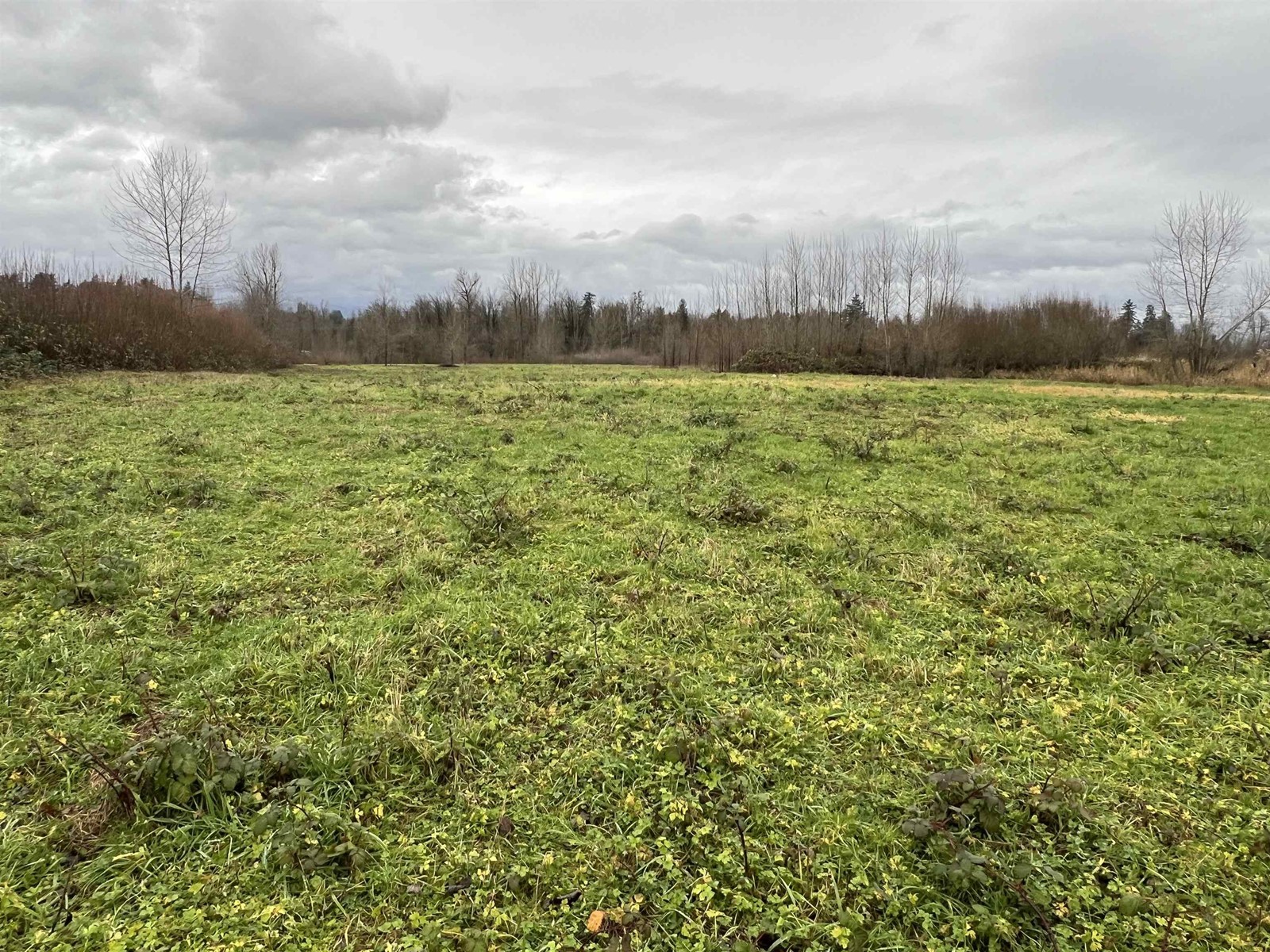 29051 HAVERMAN ROAD, Abbotsford real estate listing R2950545