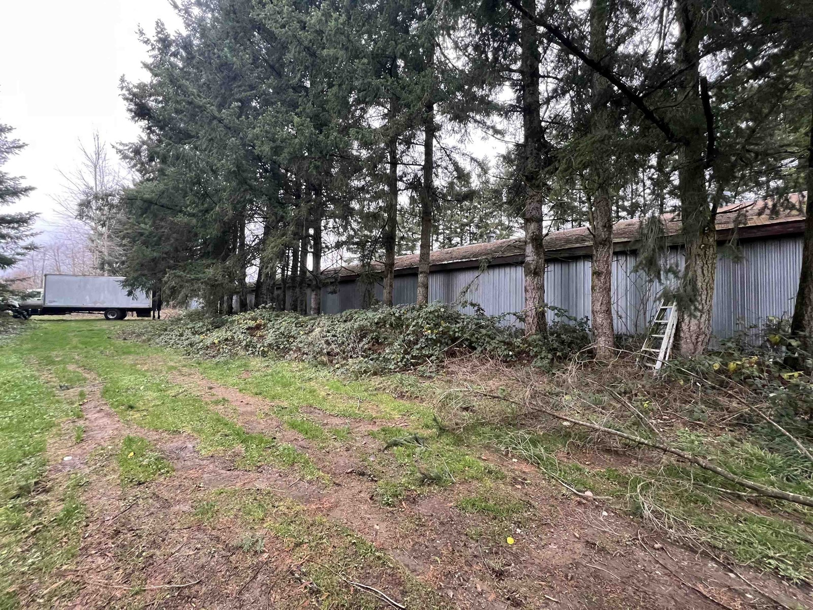 29051 HAVERMAN ROAD, Abbotsford real estate listing R2950545