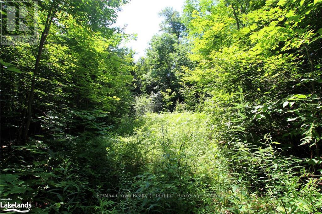 Photo 1 of 0 A 20th Side Rd, Parry Sound Remote Area ON