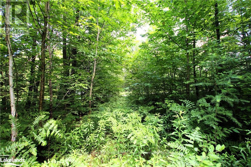 Photo 3 of 0 A 20th Side Rd, Parry Sound Remote Area ON