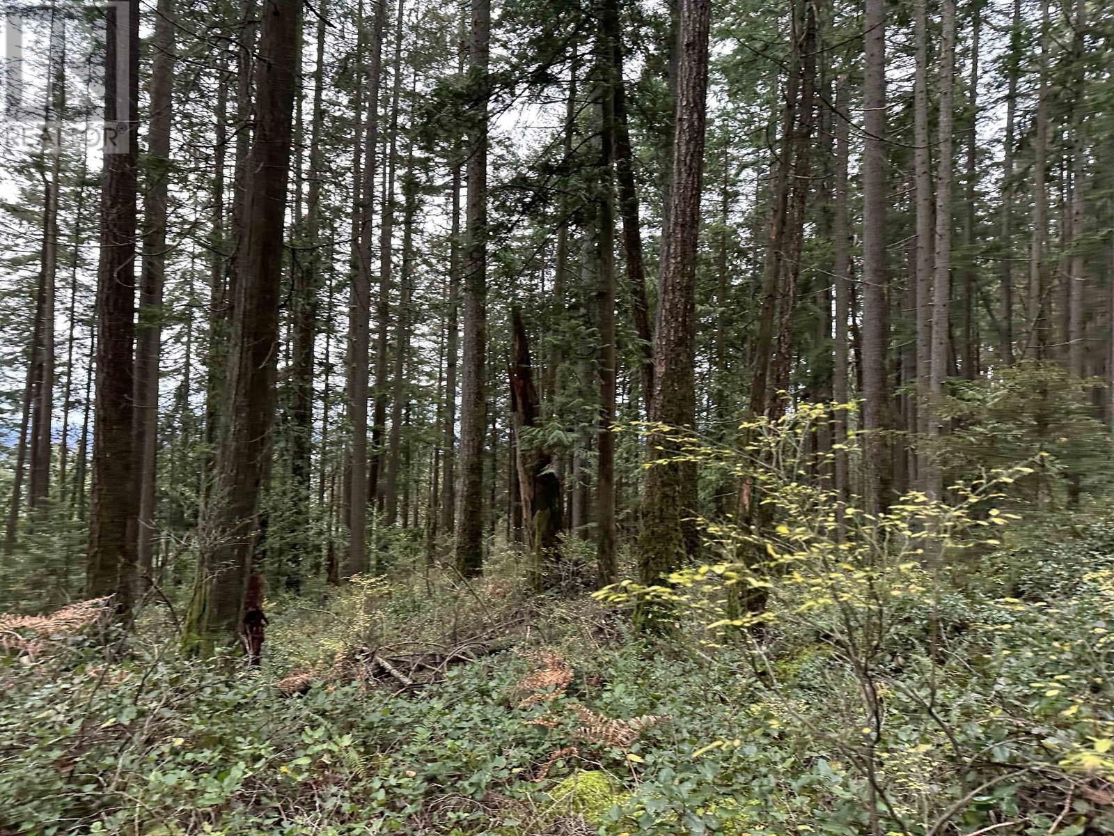 Lot 2 INDIAN RIVER DRIVE, North Vancouver real estate listing R2950139