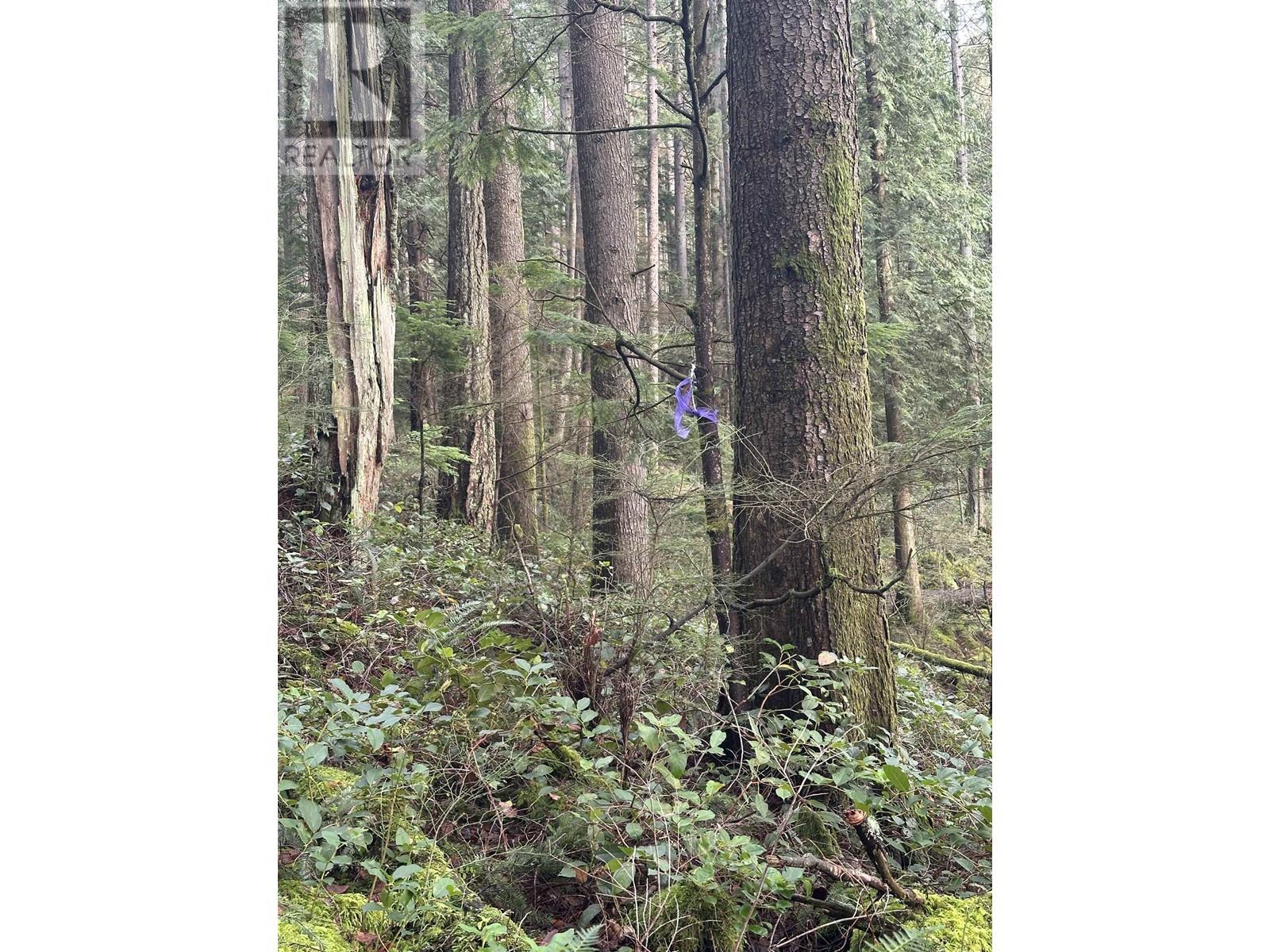 Lot 2 INDIAN RIVER DRIVE, North Vancouver real estate listing R2950139