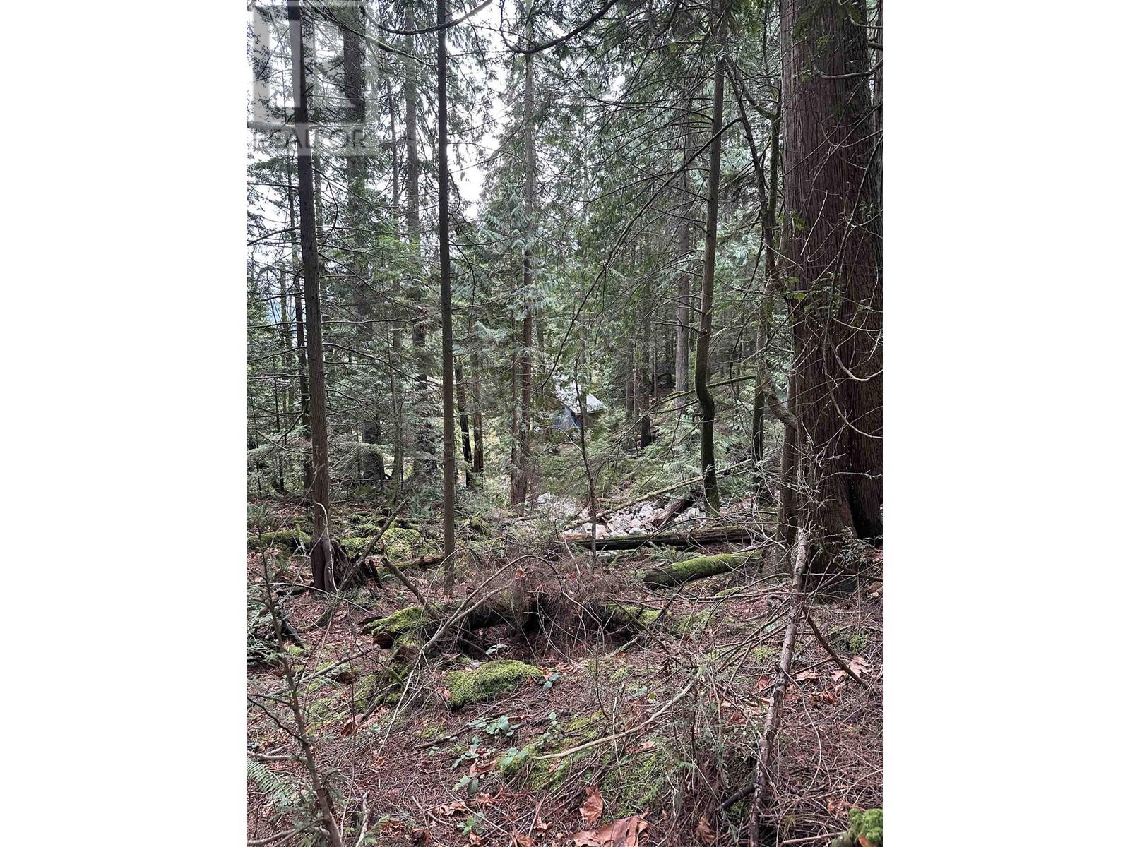 Lot 2 INDIAN RIVER DRIVE, North Vancouver real estate listing R2950139