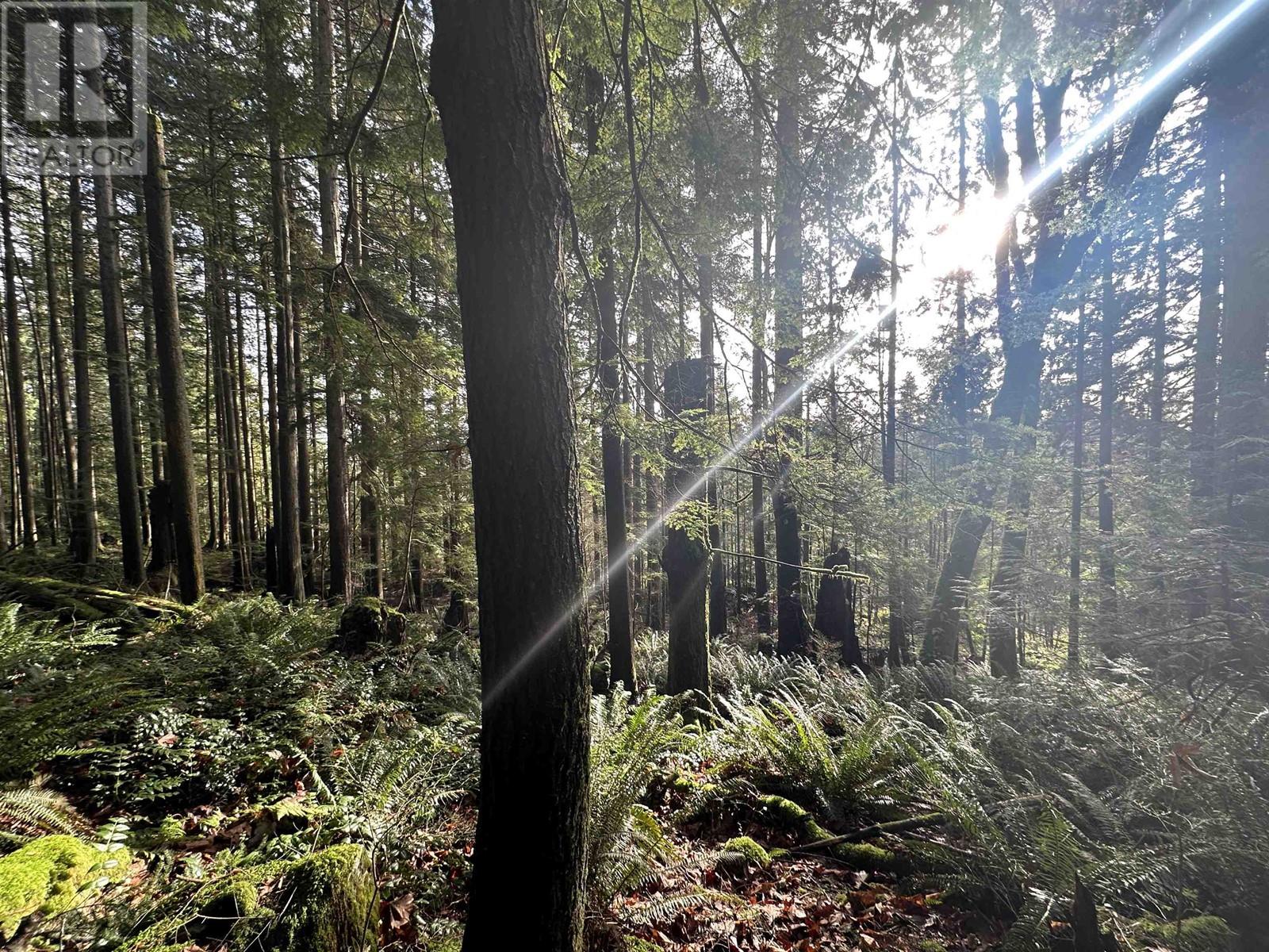 Lot 2 INDIAN RIVER DRIVE, North Vancouver real estate listing R2950139