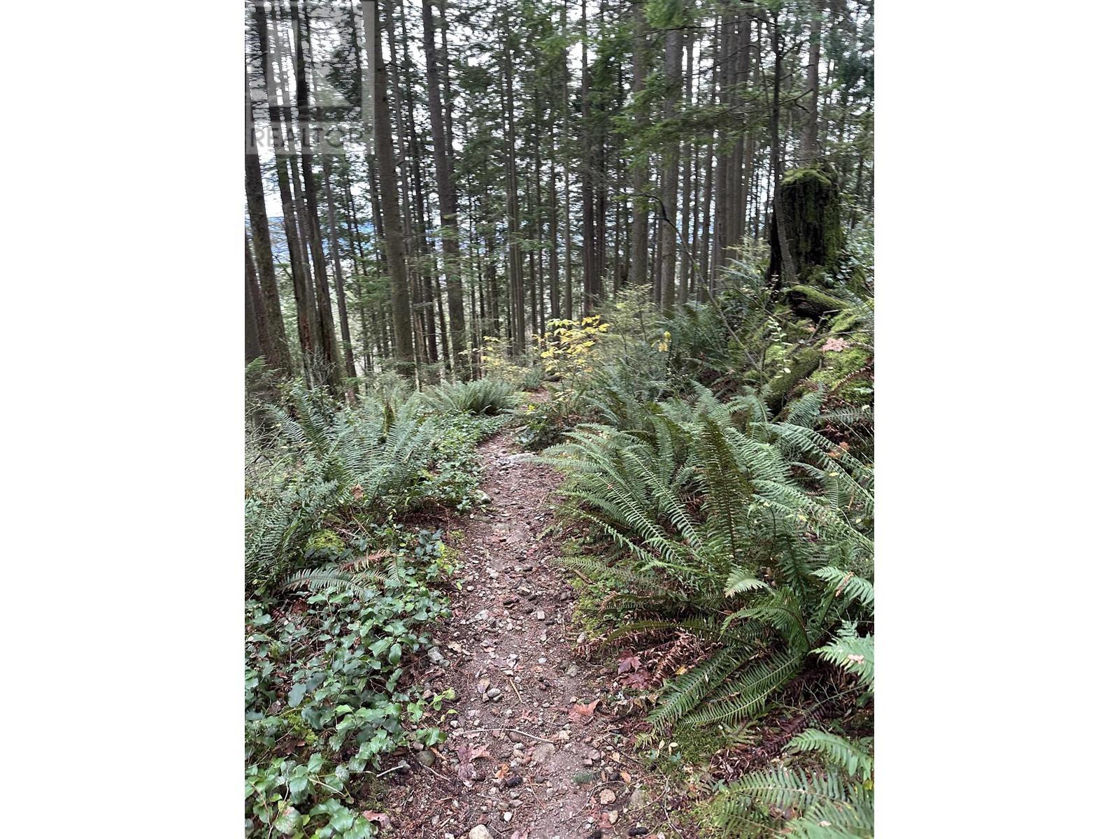 Lot 2 INDIAN RIVER DRIVE, North Vancouver real estate listing R2950139
