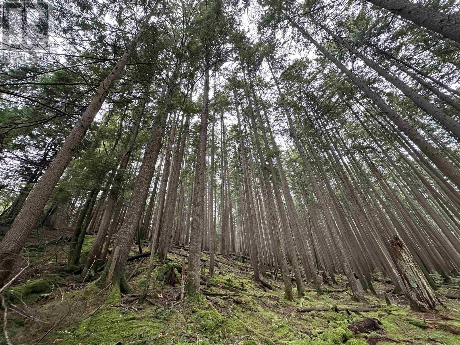 Lot 2 INDIAN RIVER DRIVE, North Vancouver real estate listing R2950139