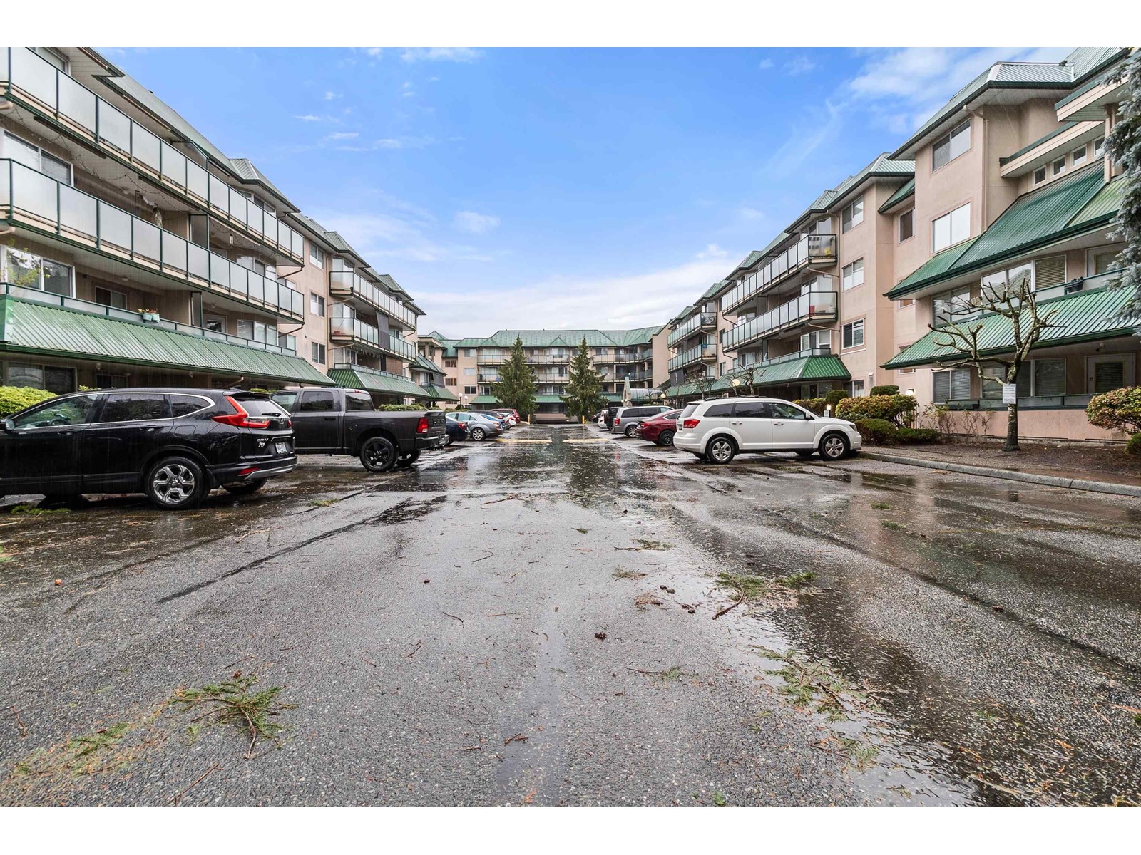 210 2962 TRETHEWEY STREET, Abbotsford real estate listing R2950187