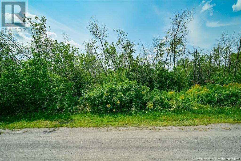 Photo 8 of Lot 3 Cnr Road, Saintleonard NB