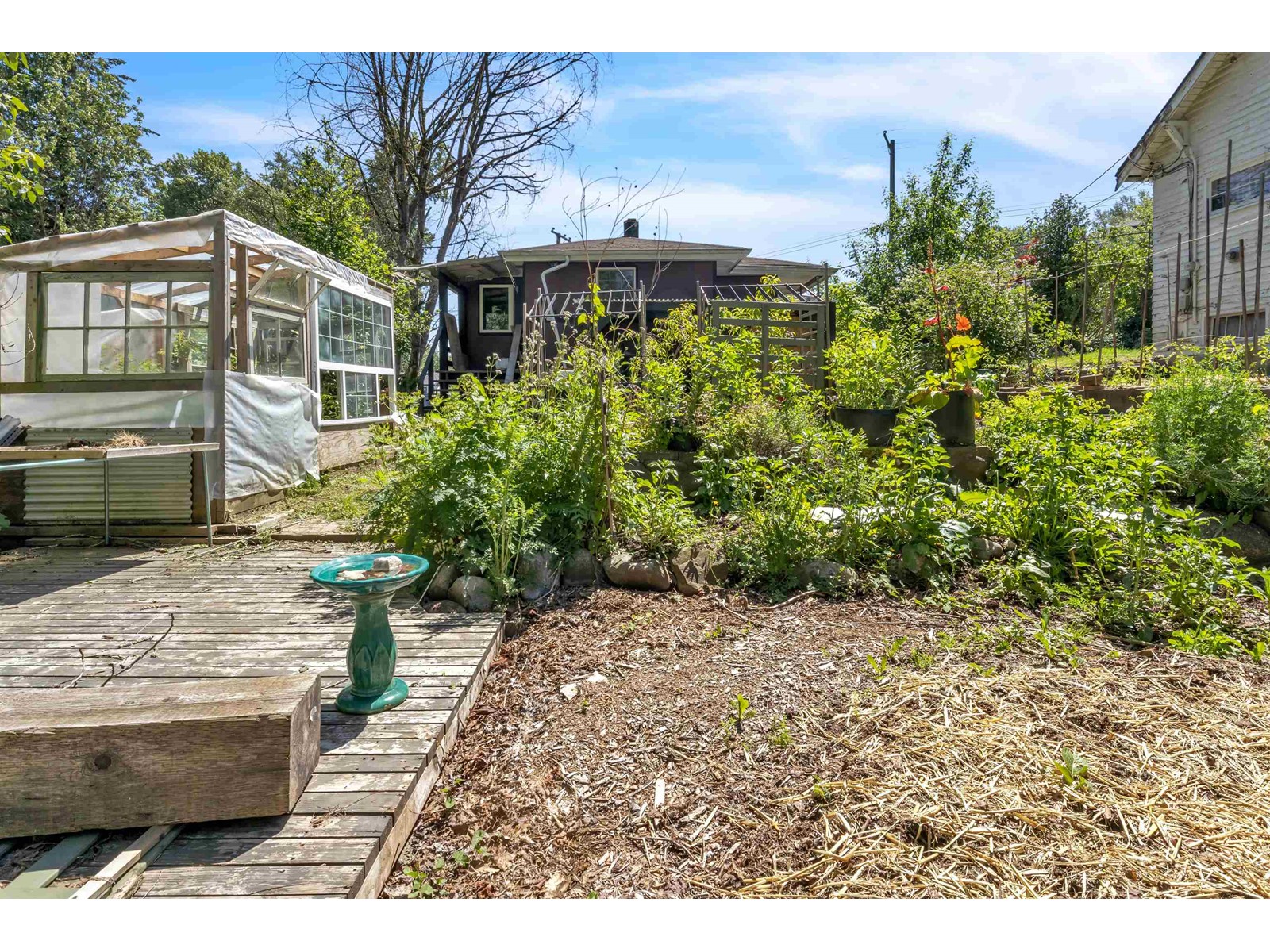 33721 MOREY AVENUE, Abbotsford