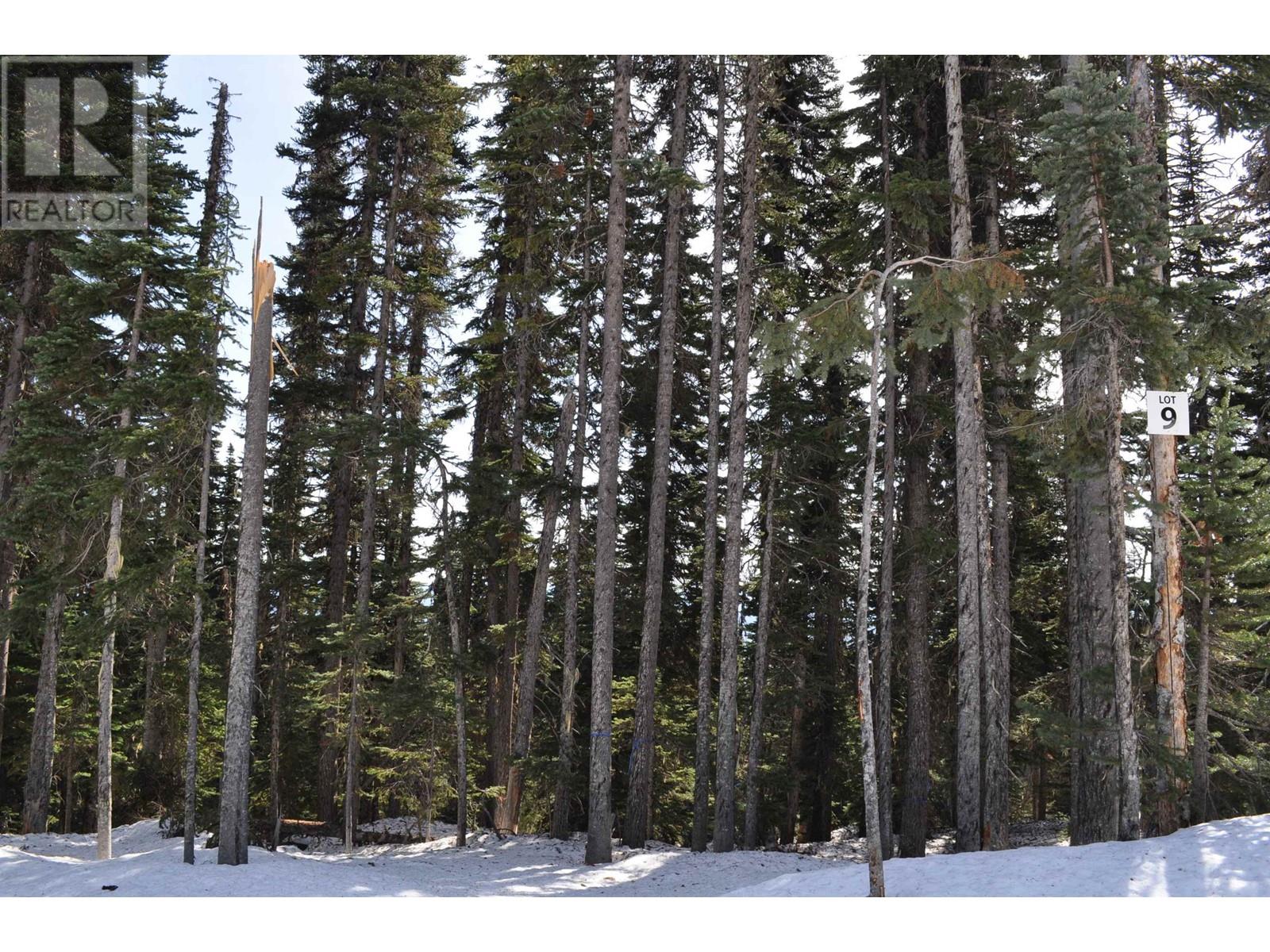 #PST-9 ALPINE Way, Smithers