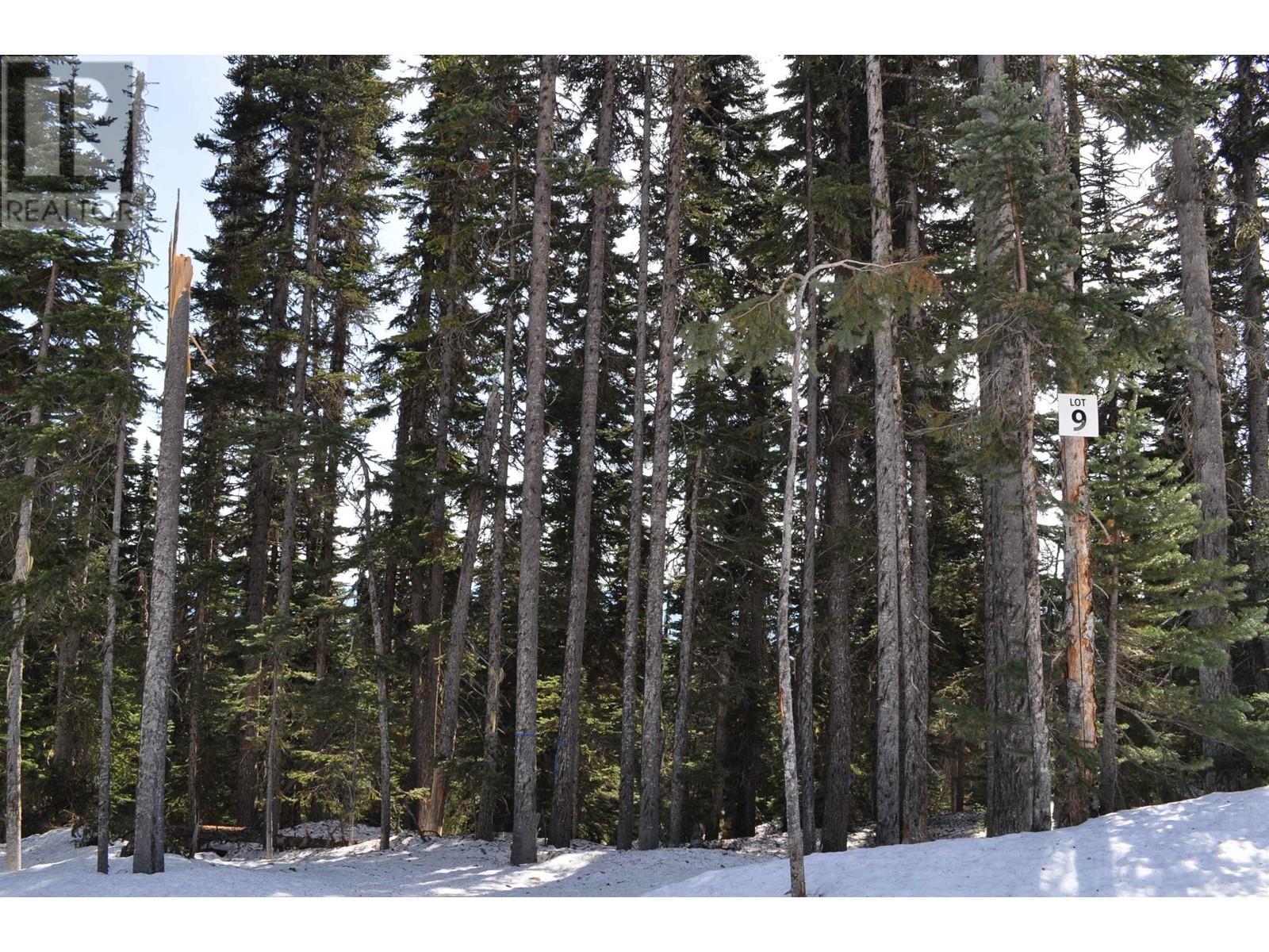 #PST-9 ALPINE Way, Smithers