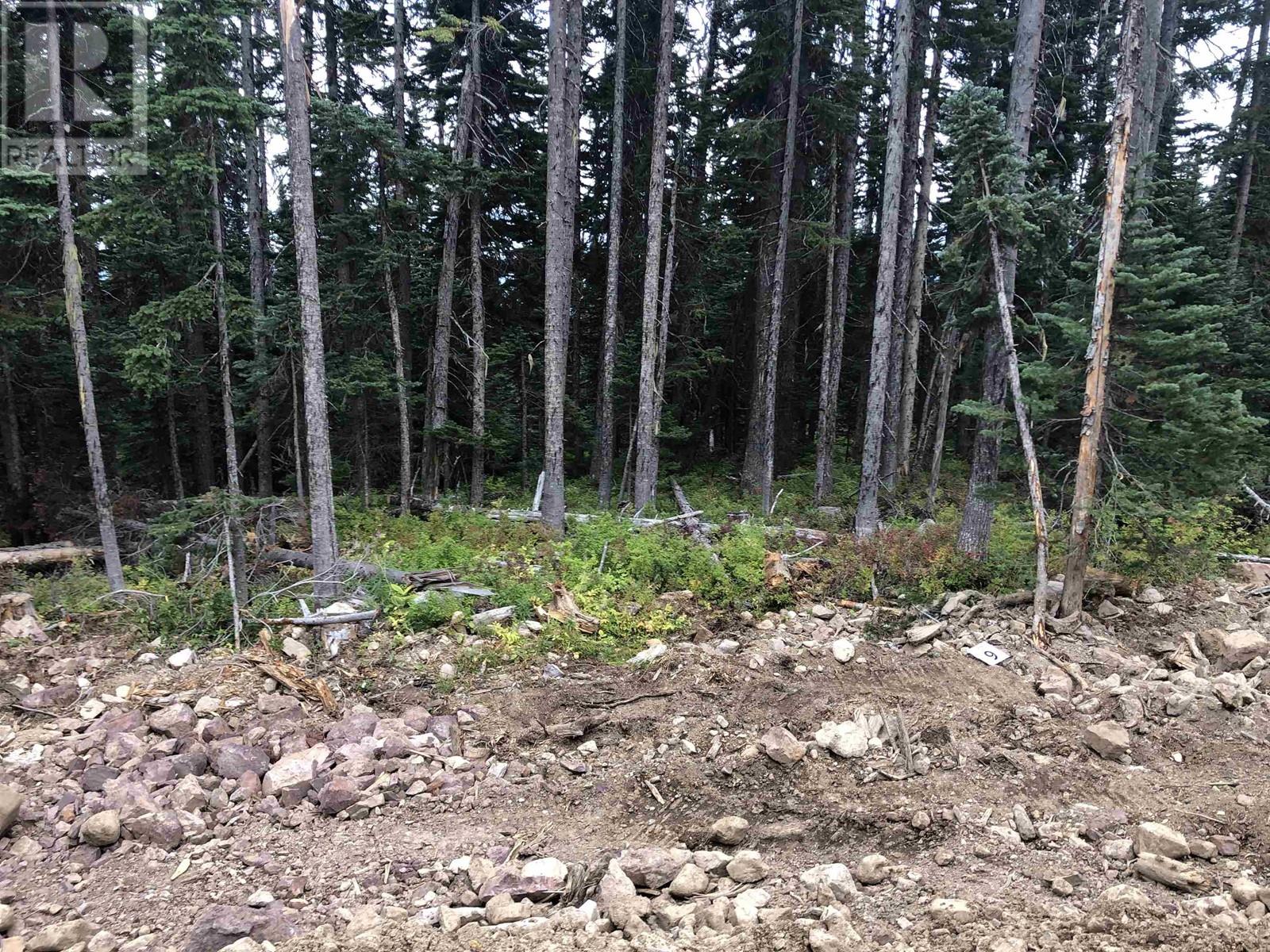 #PST-9 ALPINE Way, Smithers