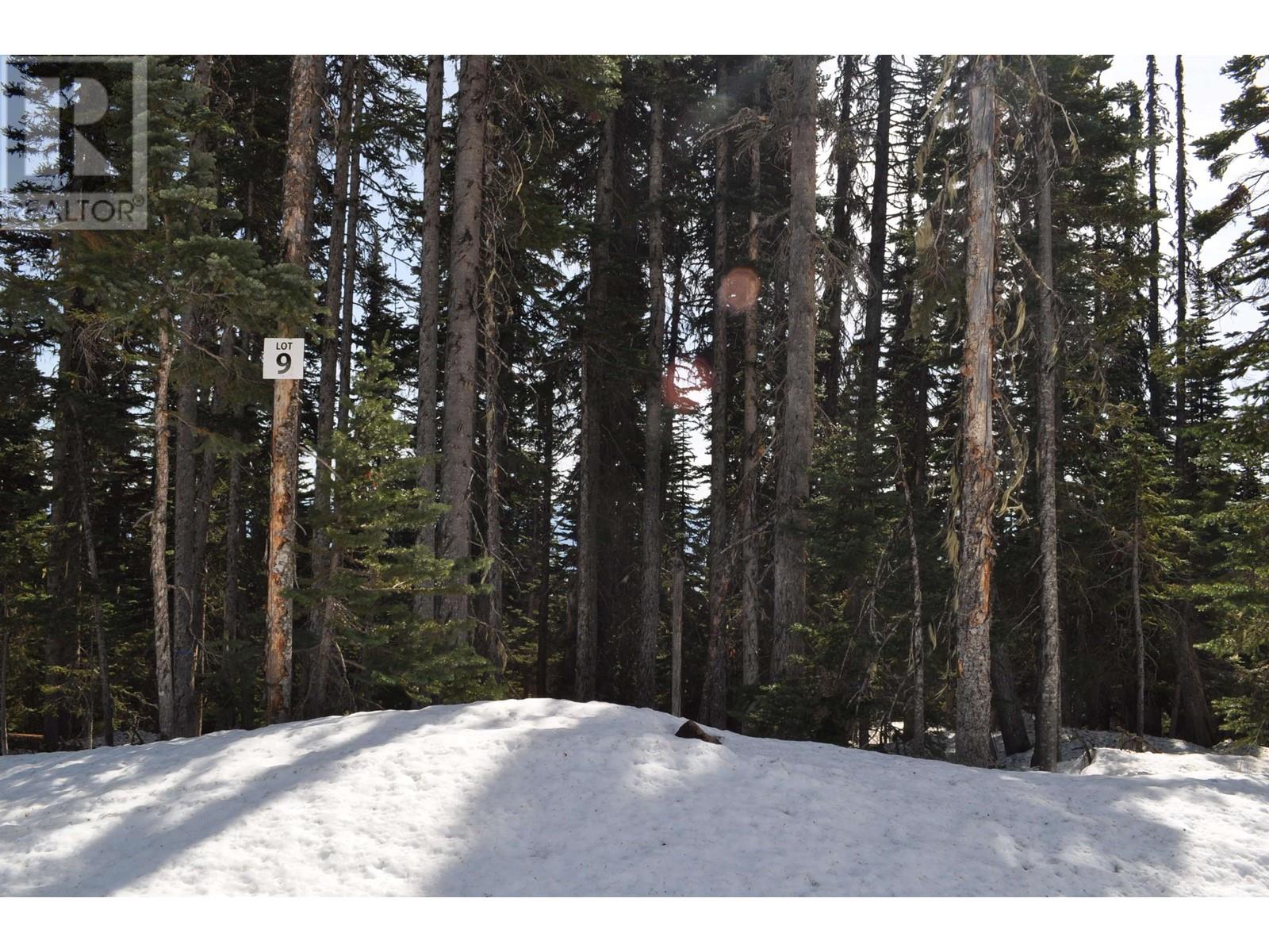 #PST-9 ALPINE Way, Smithers