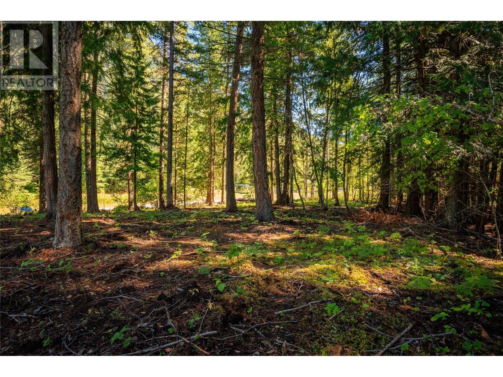 Photo 11 of 1141 Denver Siding Road E, New Denver BC
