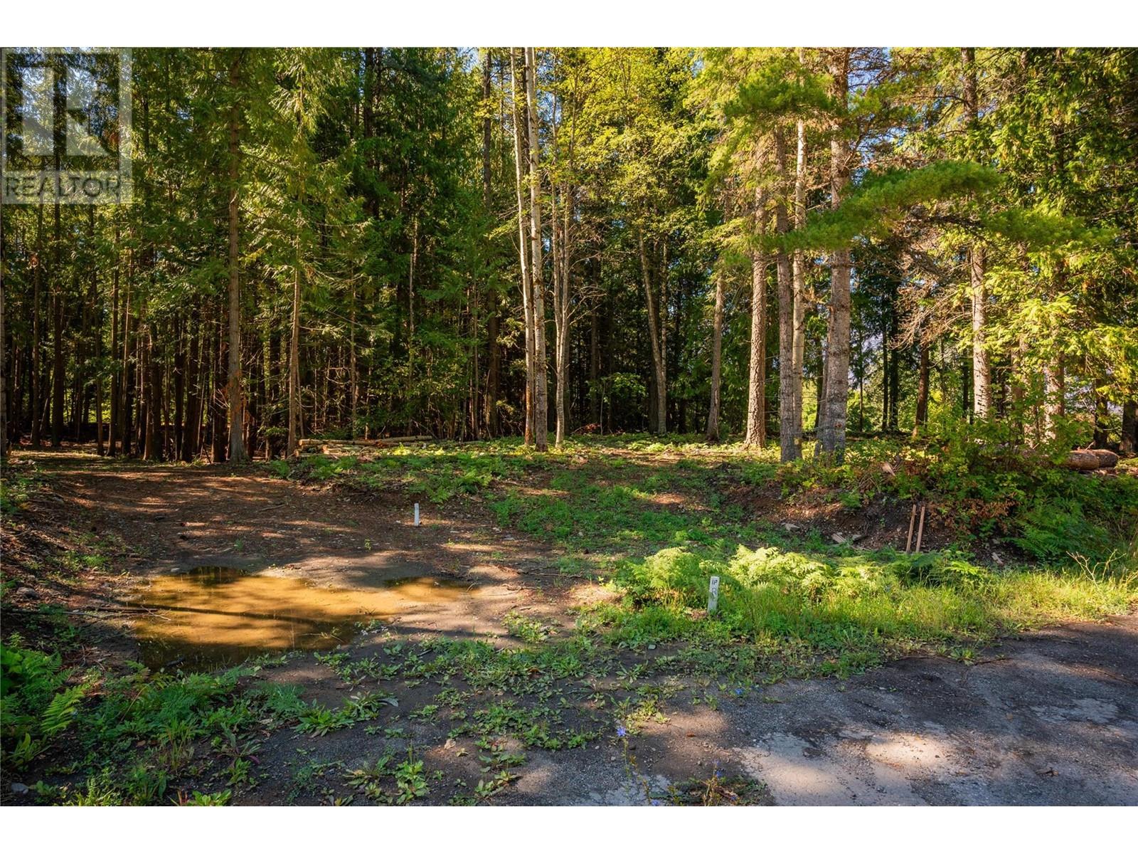Photo 9 of 1141 Denver Siding Road E, New Denver BC