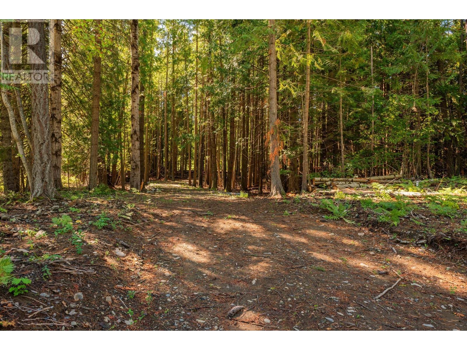Photo 13 of 1161 Denver Siding Road E, New Denver BC